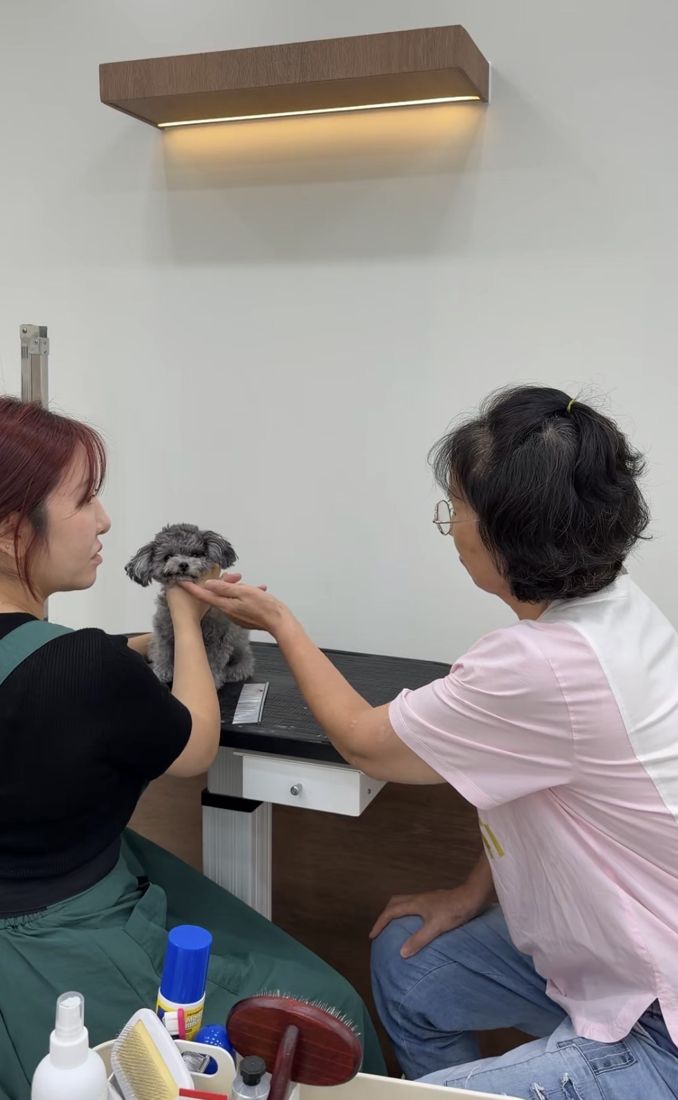보호자가 강사와 함께 테이블 위 강아지의 얼굴을 살펴보는 수업 장면